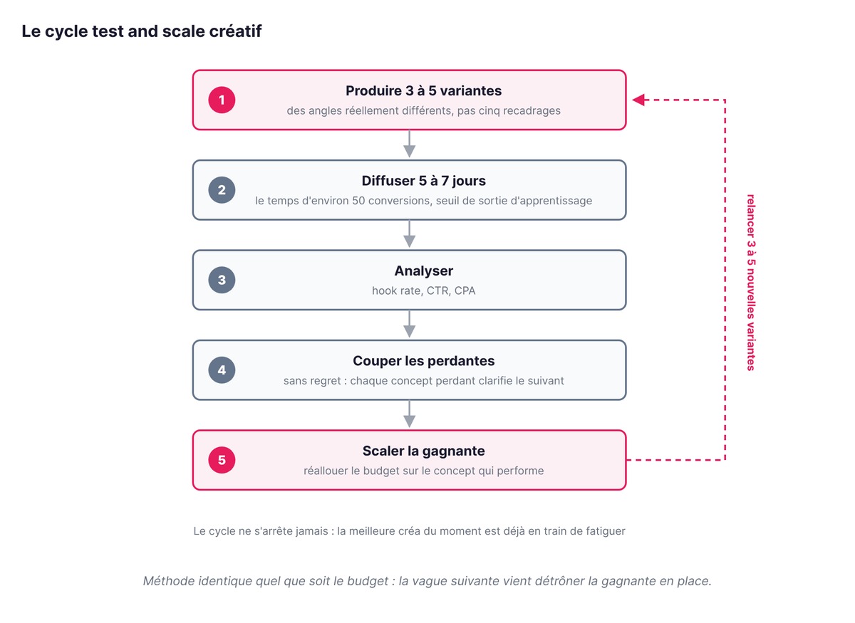 Le cycle test and scale créatif en 5 étapes : produire 3 à 5 variantes, diffuser 5 à 7 jours, analyser, couper les perdantes, scaler la gagnante puis relancer une nouvelle vague