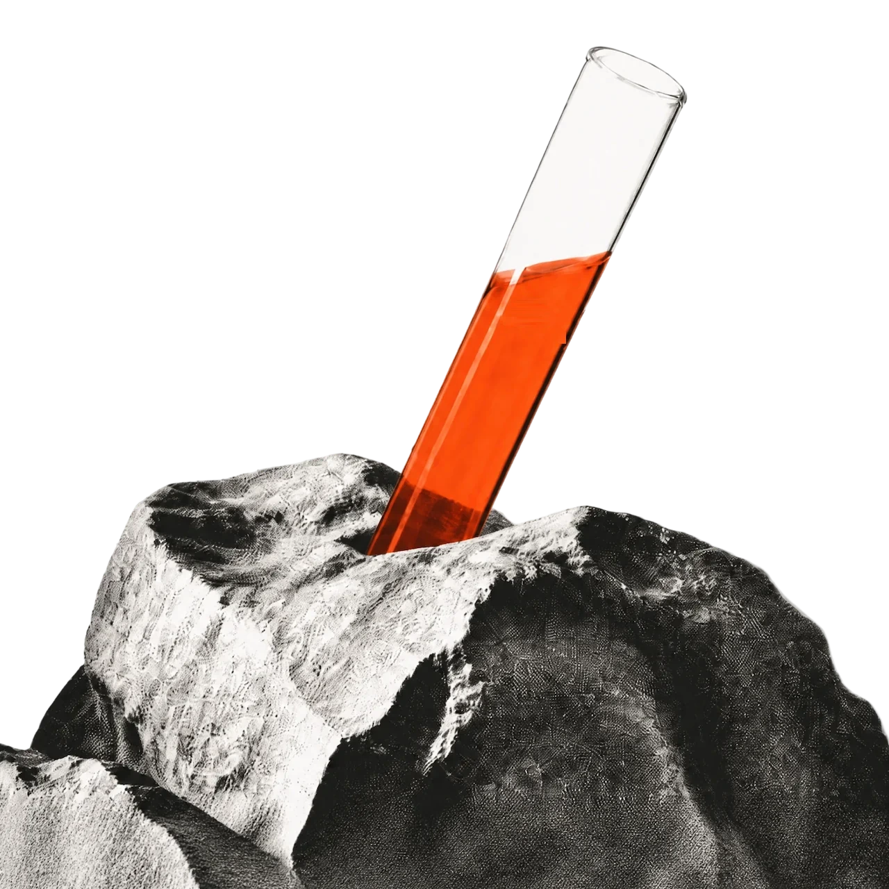 Test tube planted in halftone rock, growth as a system